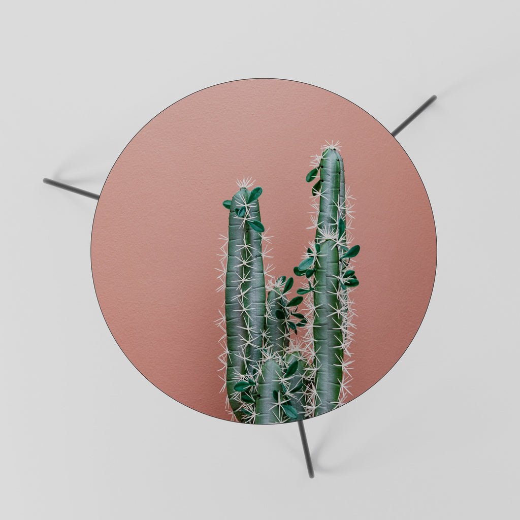 LORD CACTUS Couchtisch 60