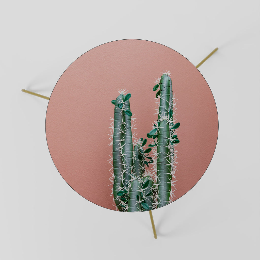 LORD CACTUS Couchtisch 60