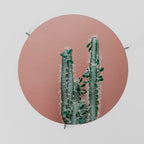 LORD CACTUS Couchtisch Ø 69 cm
