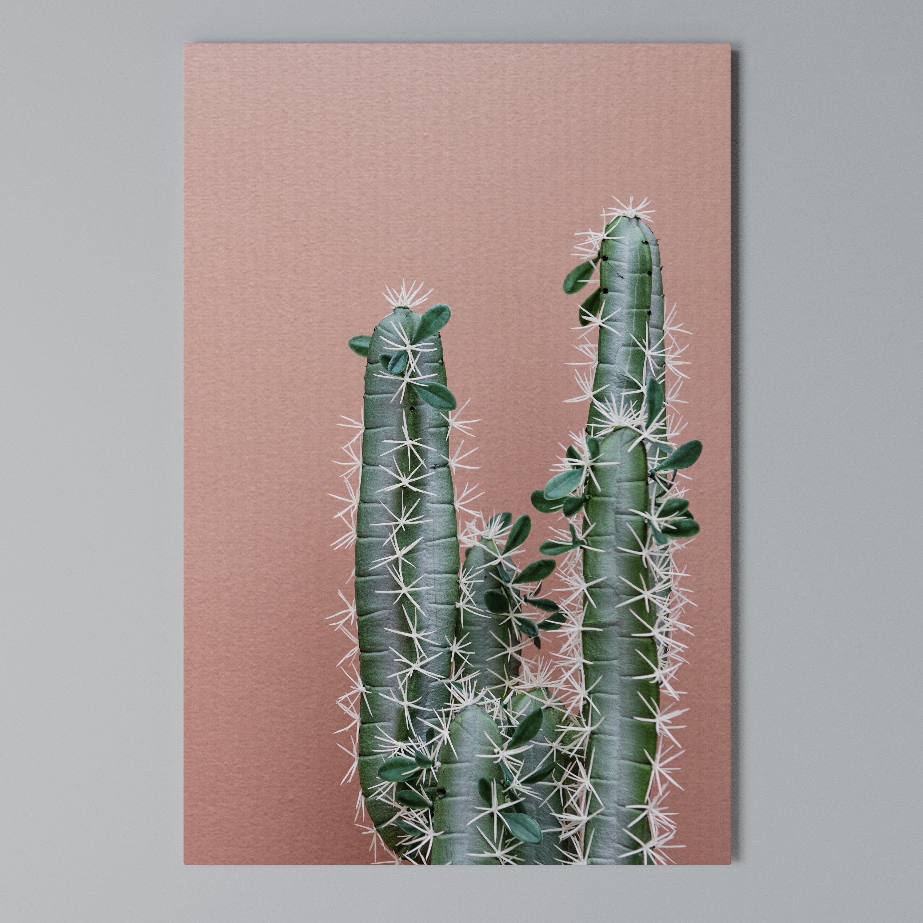 LORD CACTUS Vertical Canvas Print
