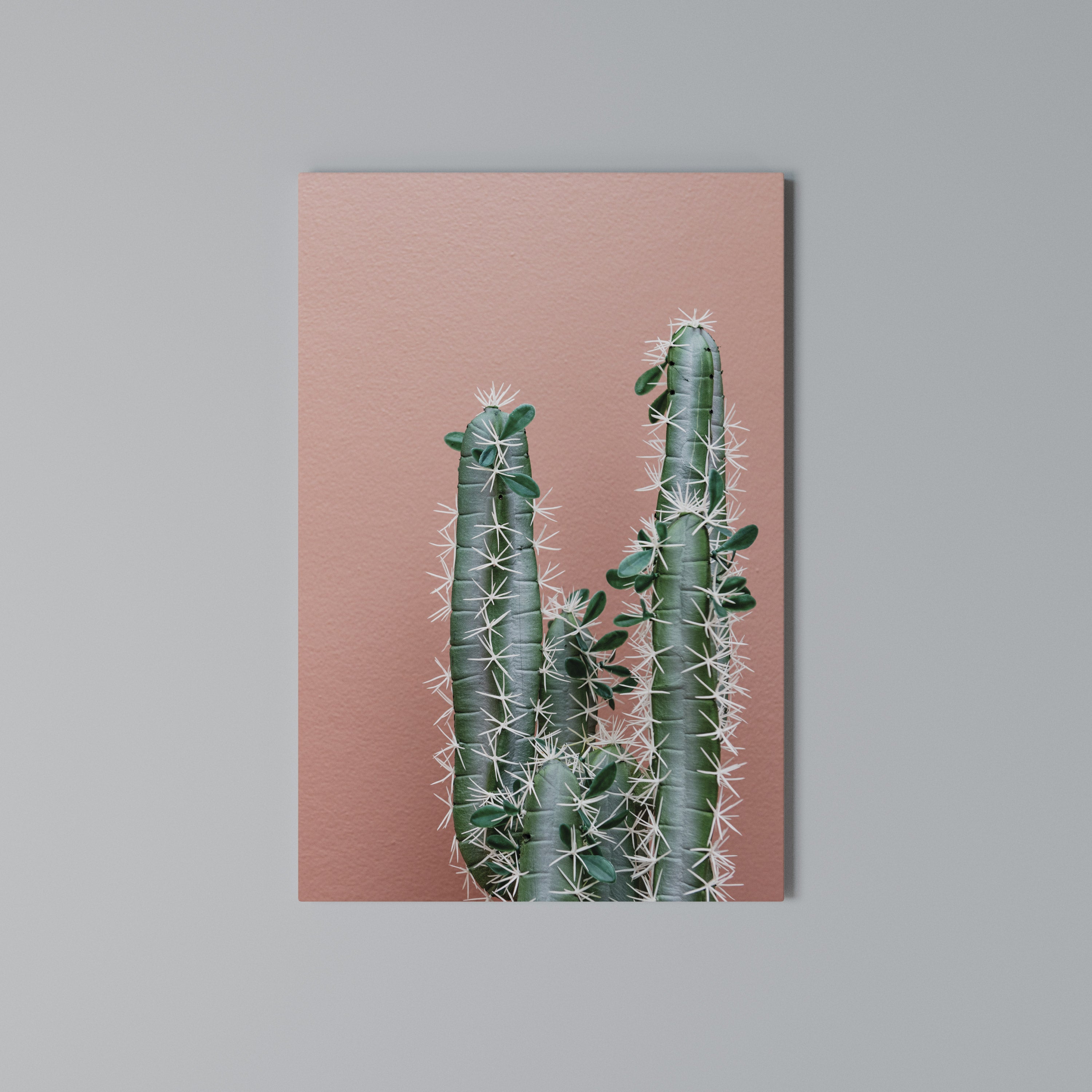 LORD CACTUS Vertical Canvas Print