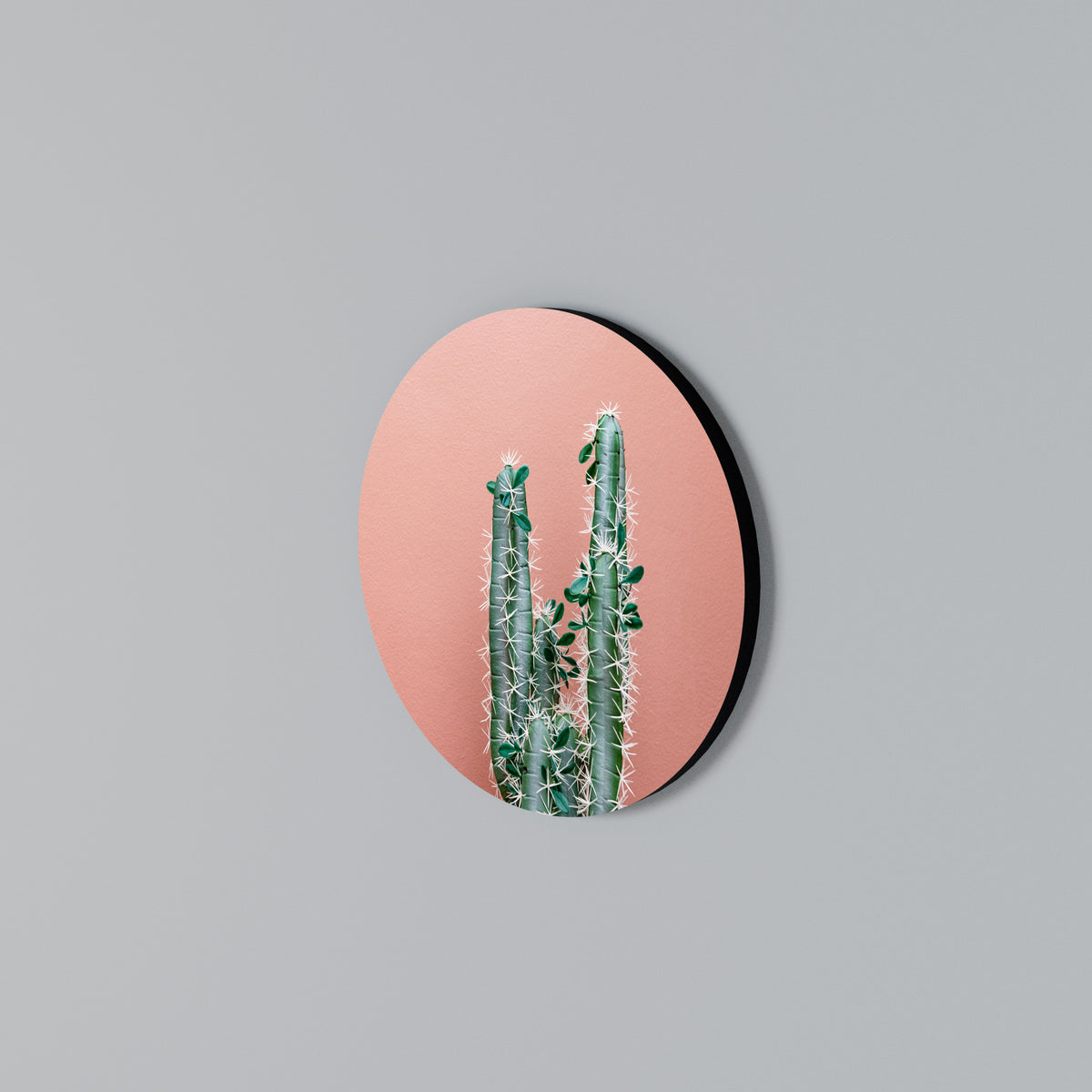LORD CACTUS Rundes Wandbild