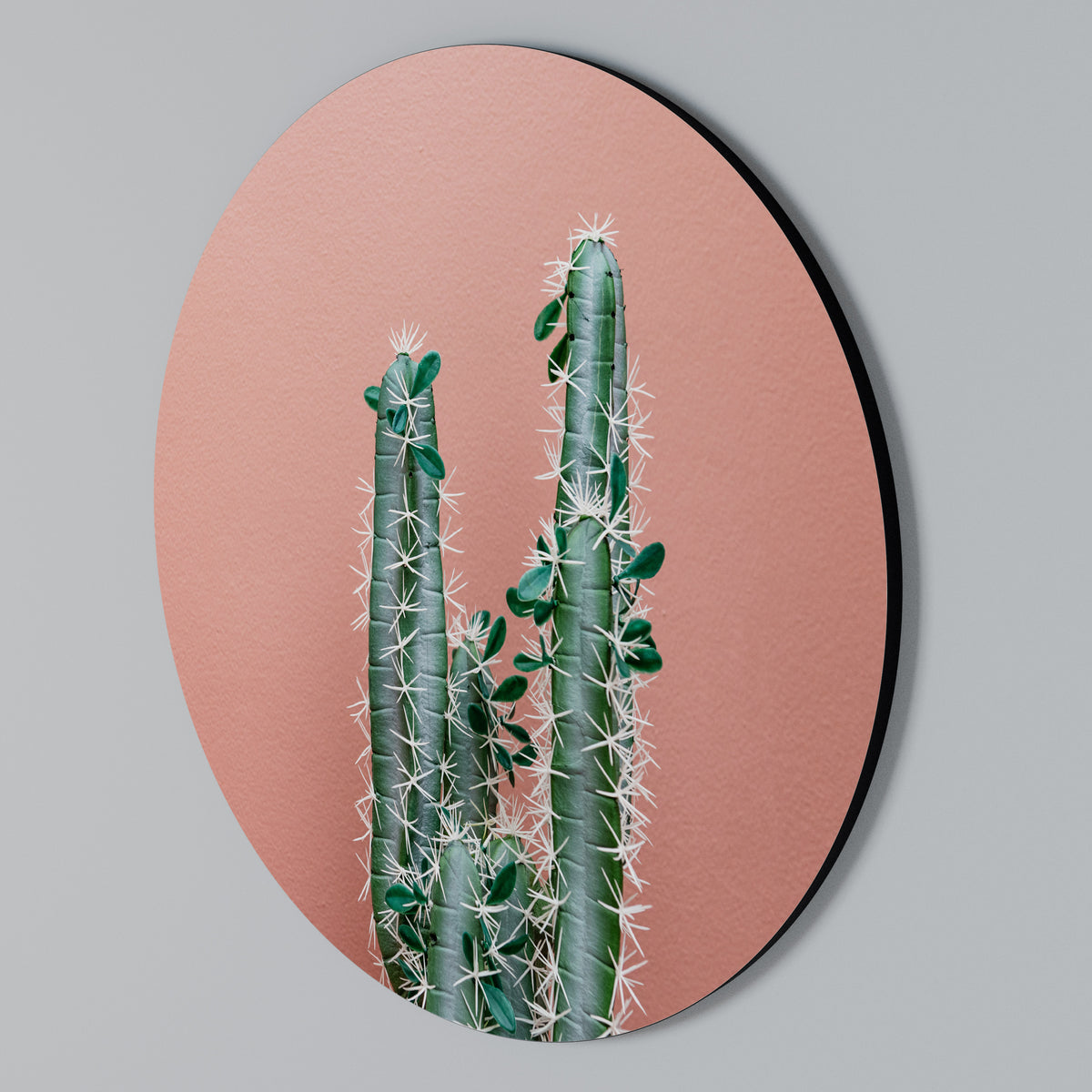 LORD CACTUS Rundes Wandbild