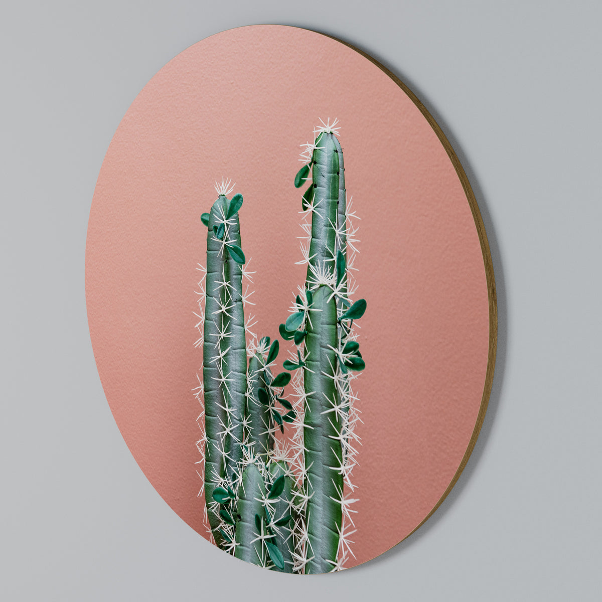 LORD CACTUS Rundes Wandbild