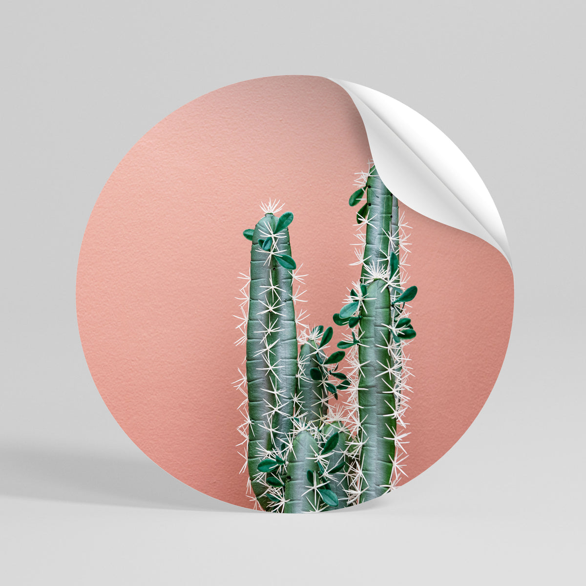 LORD CACTUS Runder Wandsticker zum Abziehen und Aufkleben
