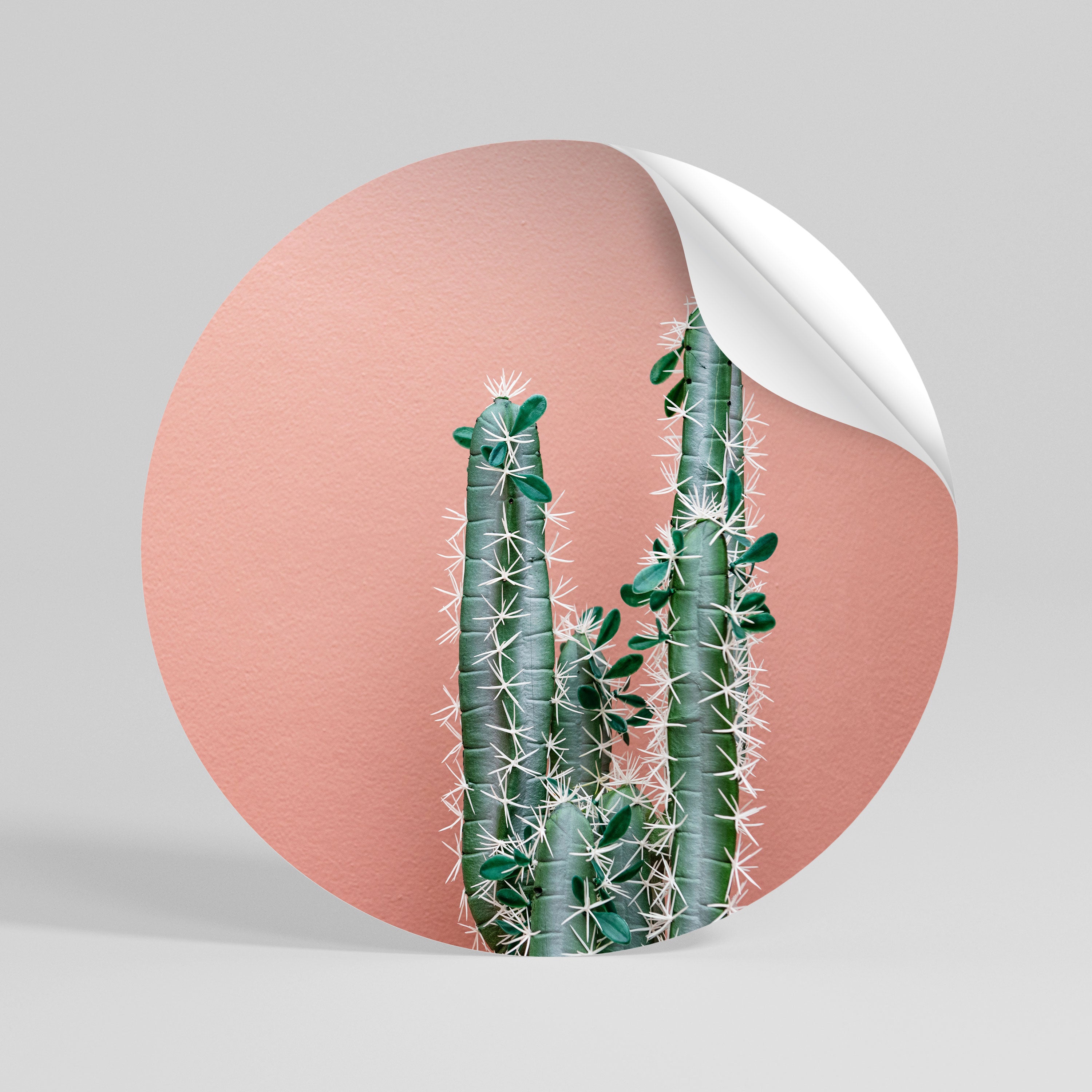 LORD CACTUS Runder Wandsticker zum Abziehen und Aufkleben