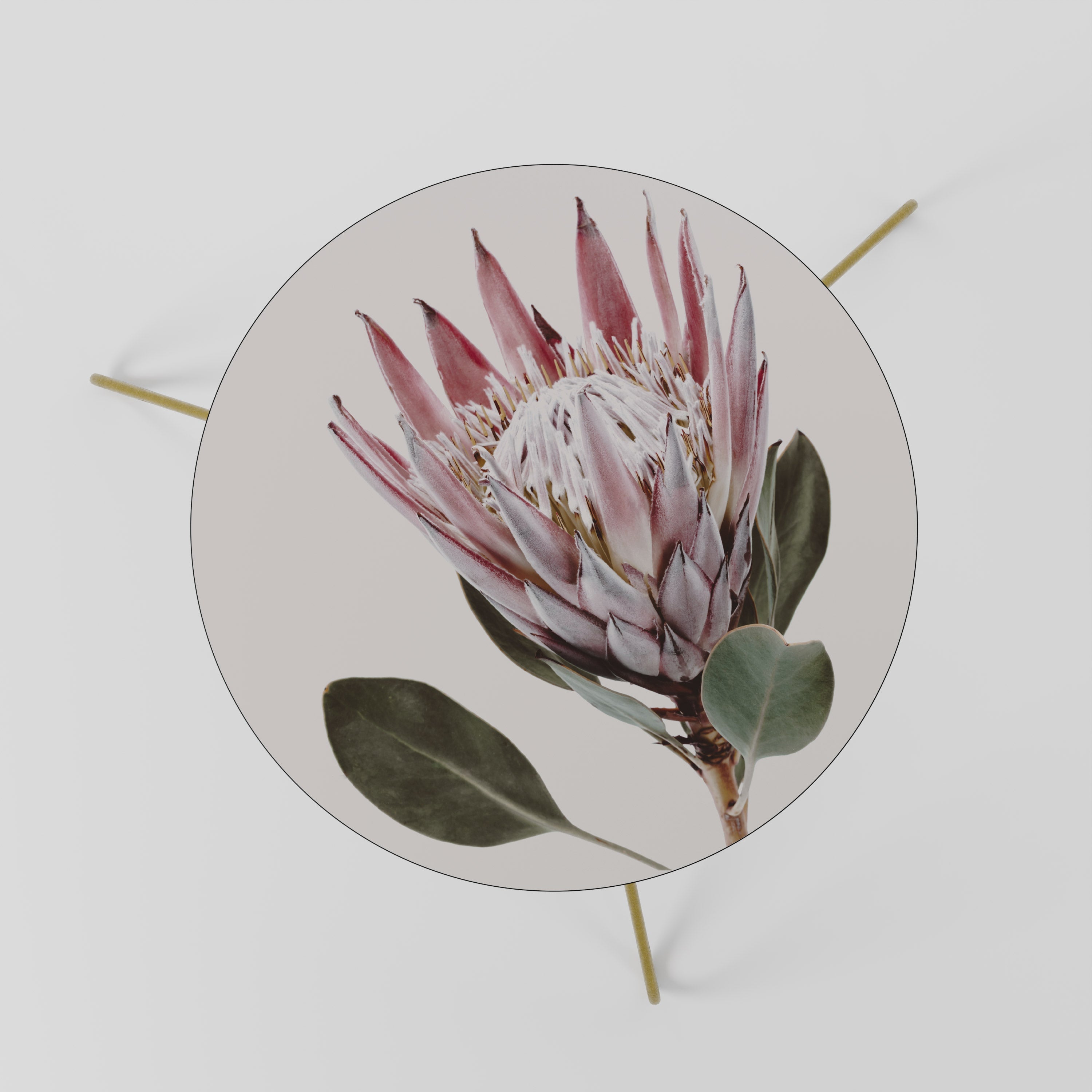 PROTEA FLOWER Couchtisch 60