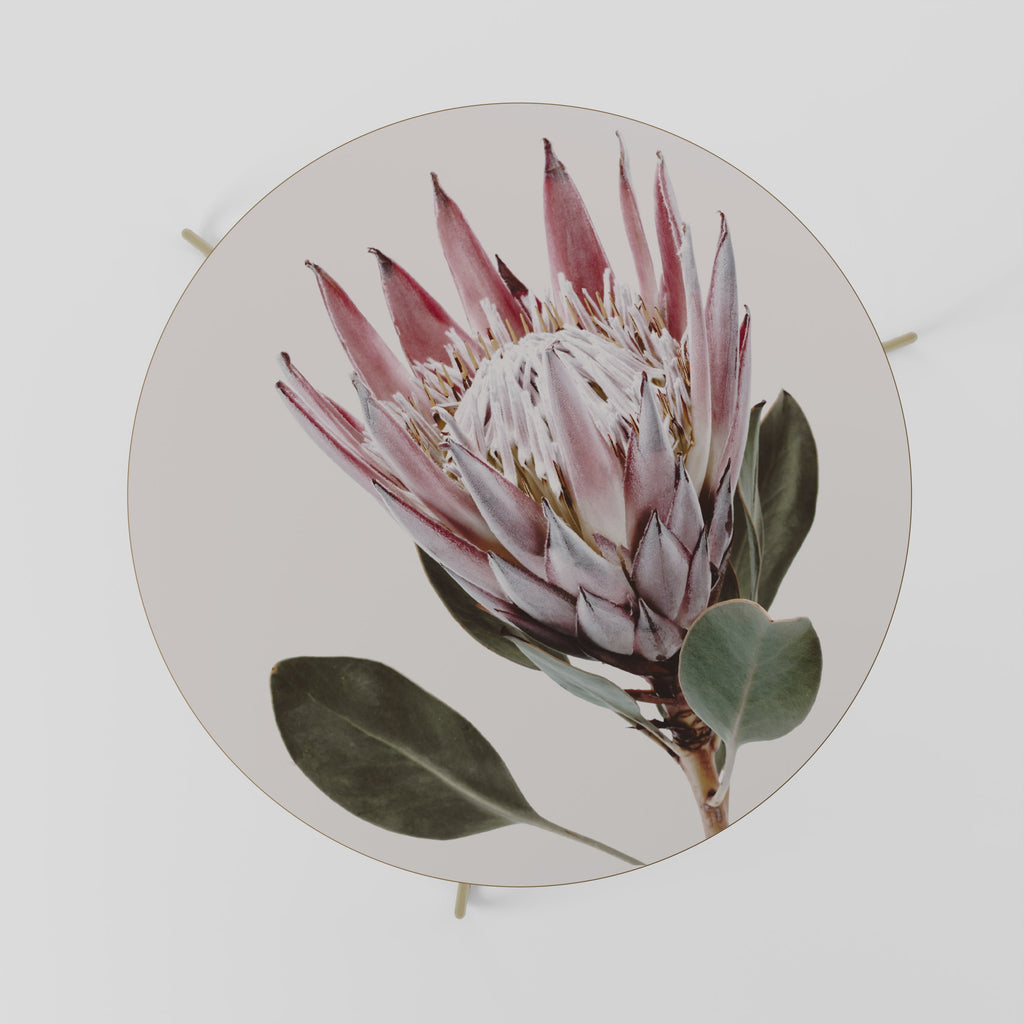 PROTEA FLOWER Couchtisch 69