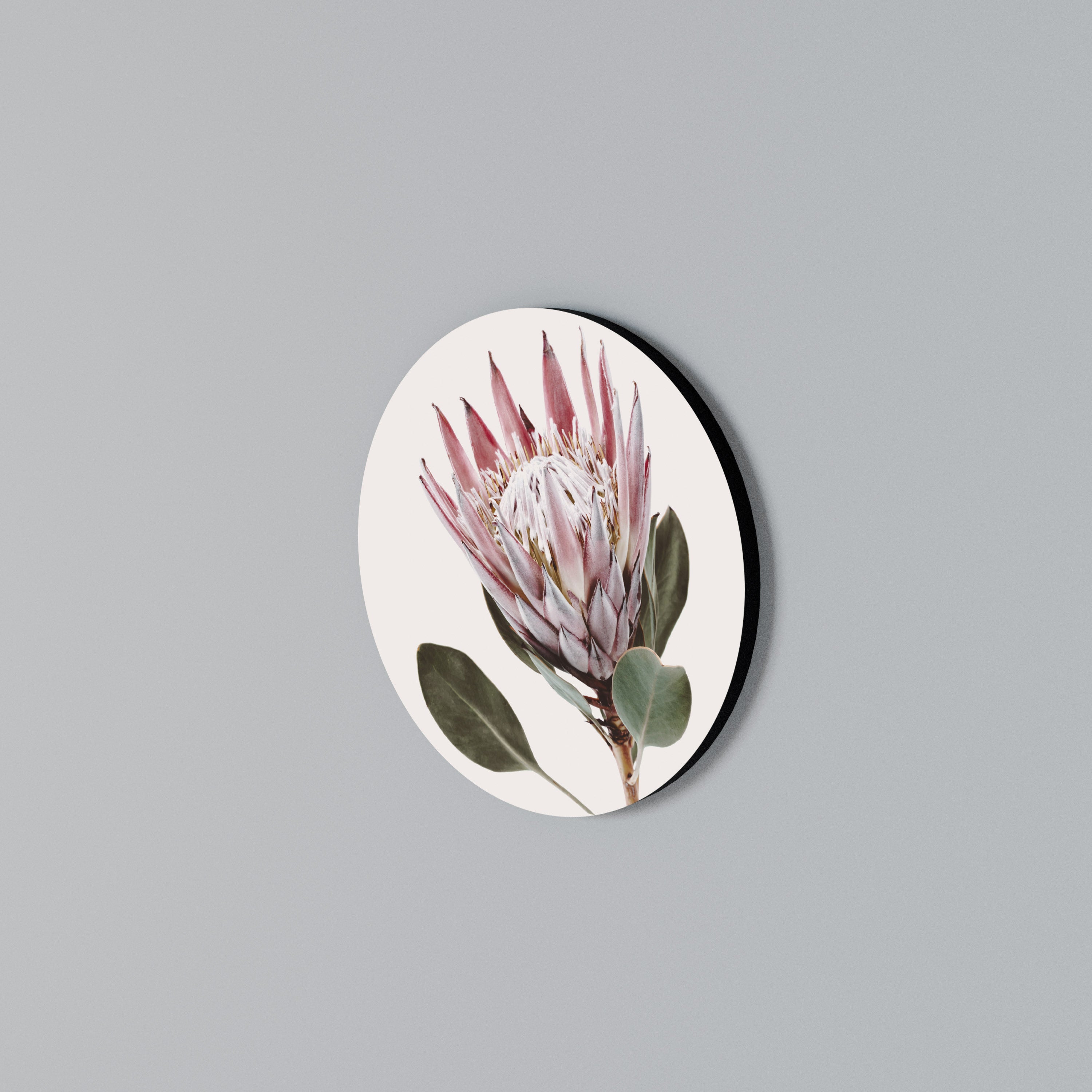 PROTEA FLOWER Round Wall Art