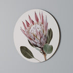 PROTEA FLOWER Runde Wanddekoration Ø 69 cm