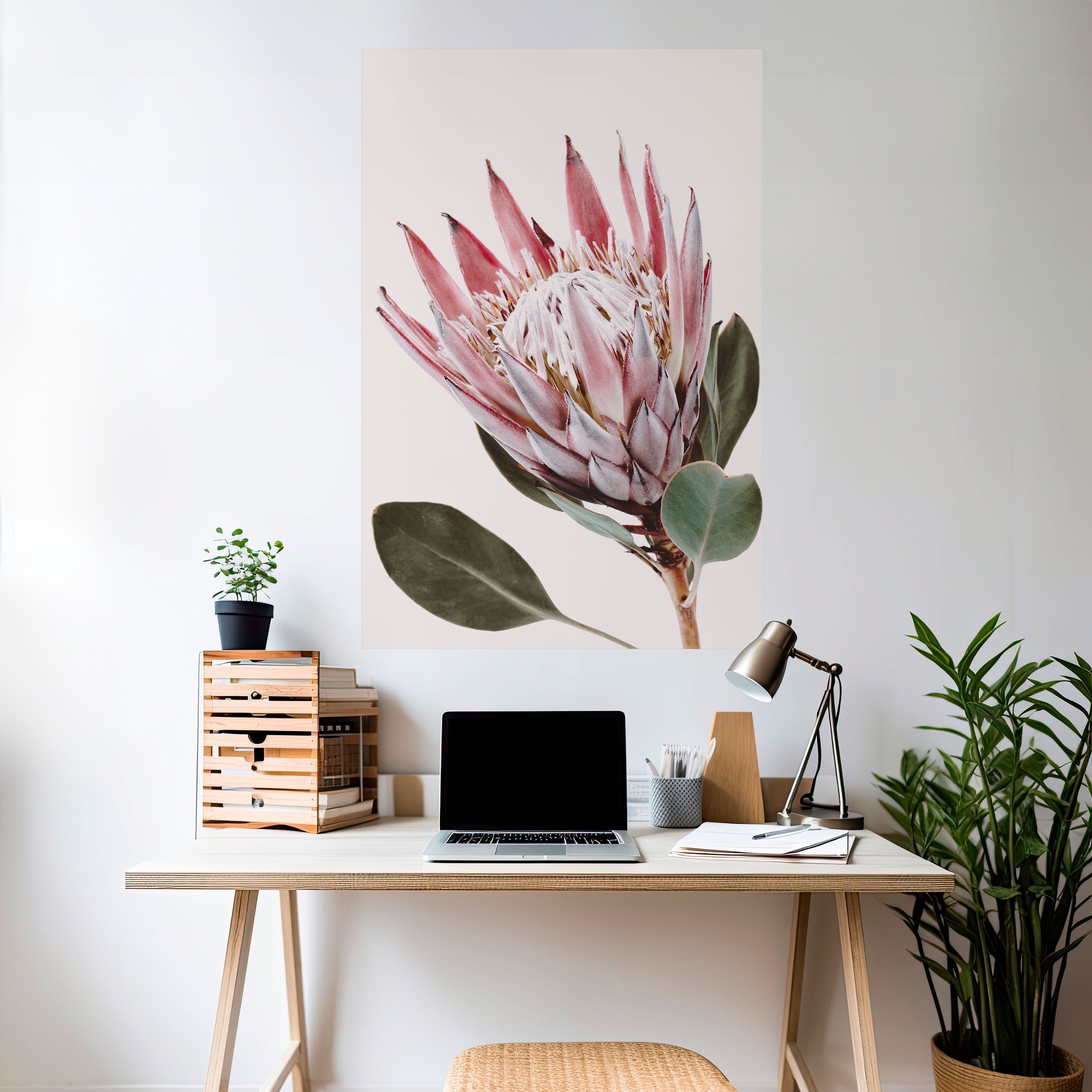 PROTEA FLOWER Vertikales Poster zum Abziehen und Aufkleben