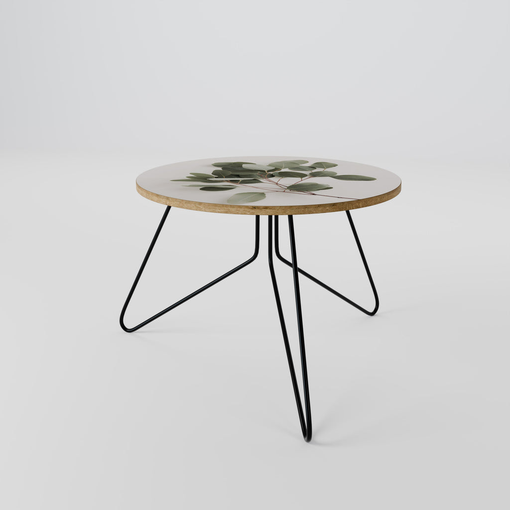 EUCALYPTUS BRANCH Couchtisch 60