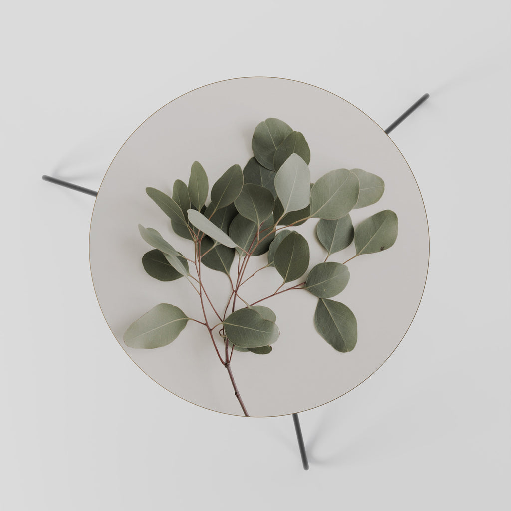 EUCALYPTUS BRANCH Couchtisch 60