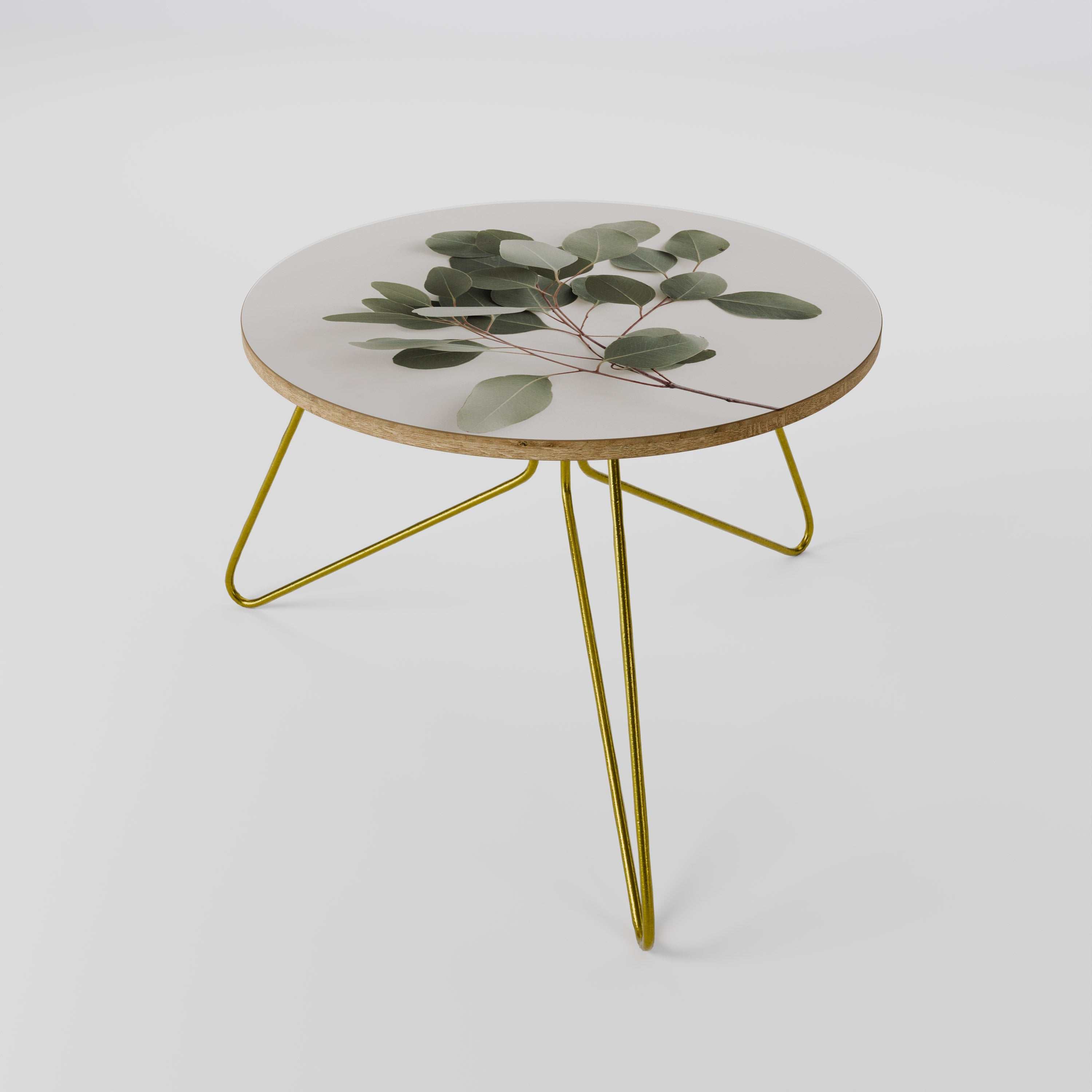 EUCALYPTUS BRANCH Couchtisch 60