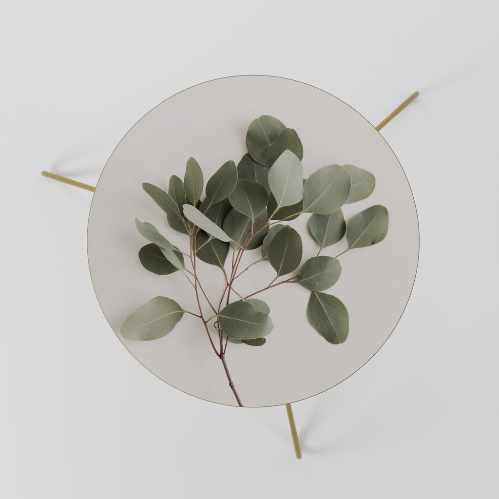 EUCALYPTUS BRANCH Couchtisch 60