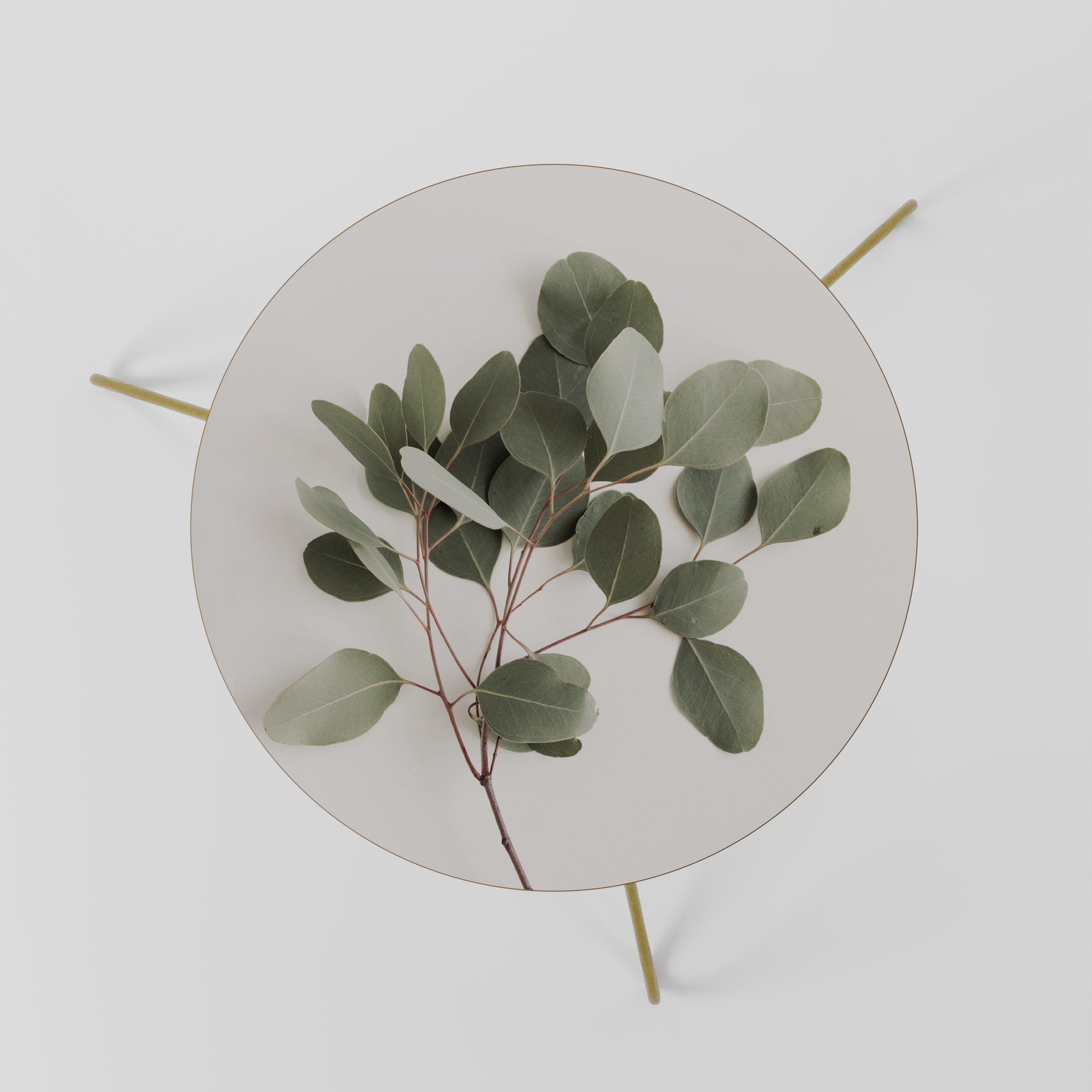 EUCALYPTUS BRANCH Couchtisch 60
