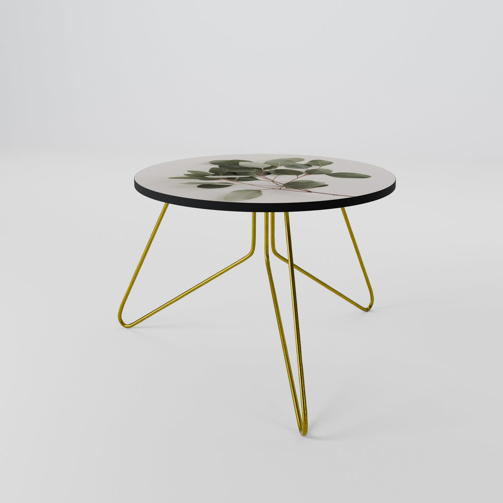 EUCALYPTUS BRANCH Couchtisch 60