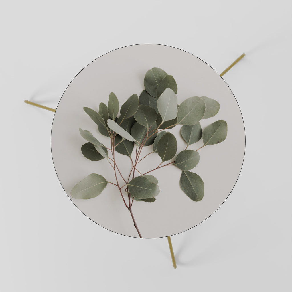 EUCALYPTUS BRANCH Couchtisch 60