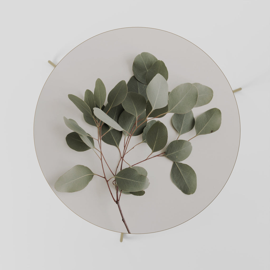 EUCALYPTUS BRANCH Couchtisch 69
