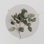 EUCALYPTUS BRANCH Coffee Table 69