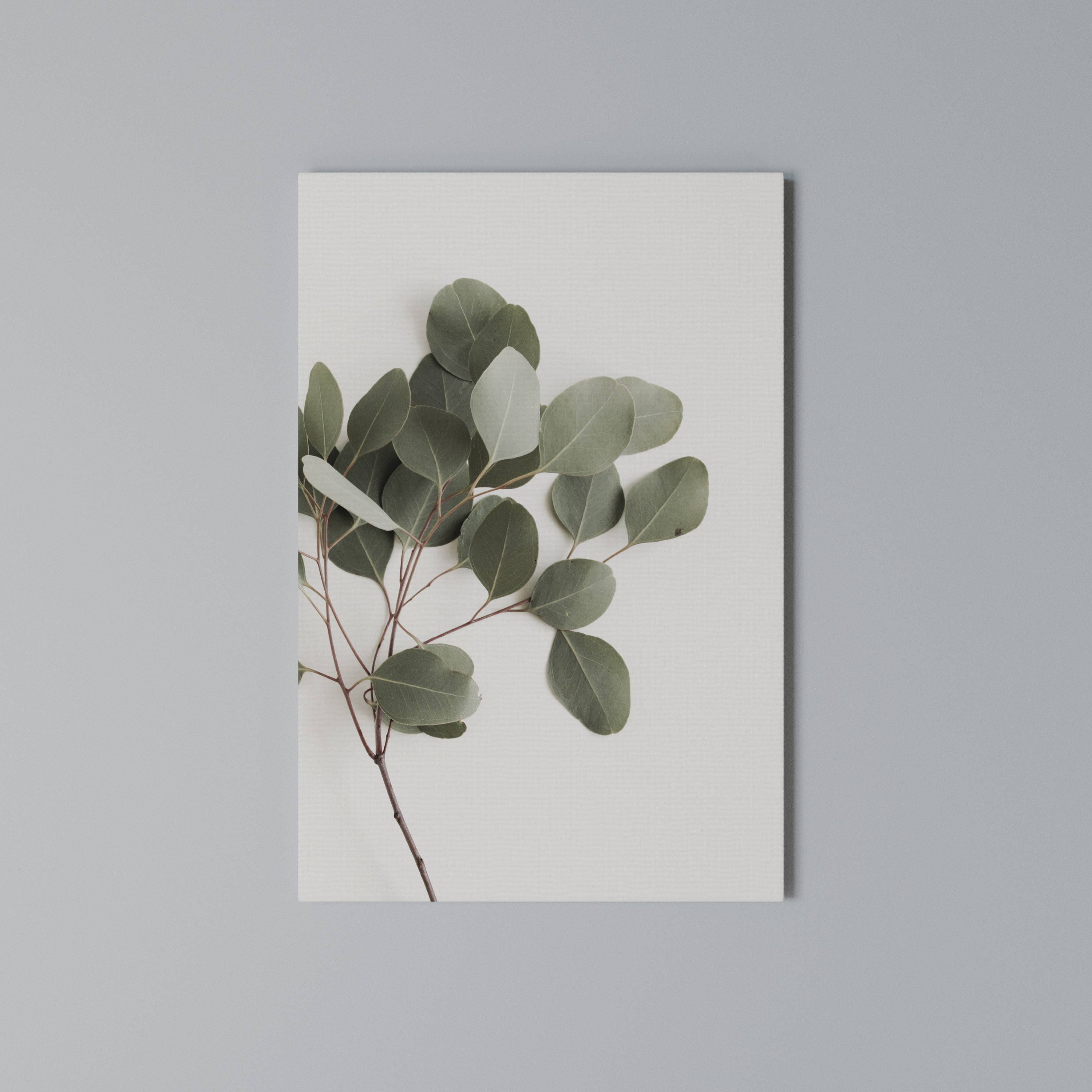 EUCALYPTUS BRANCH Vertical Canvas Print