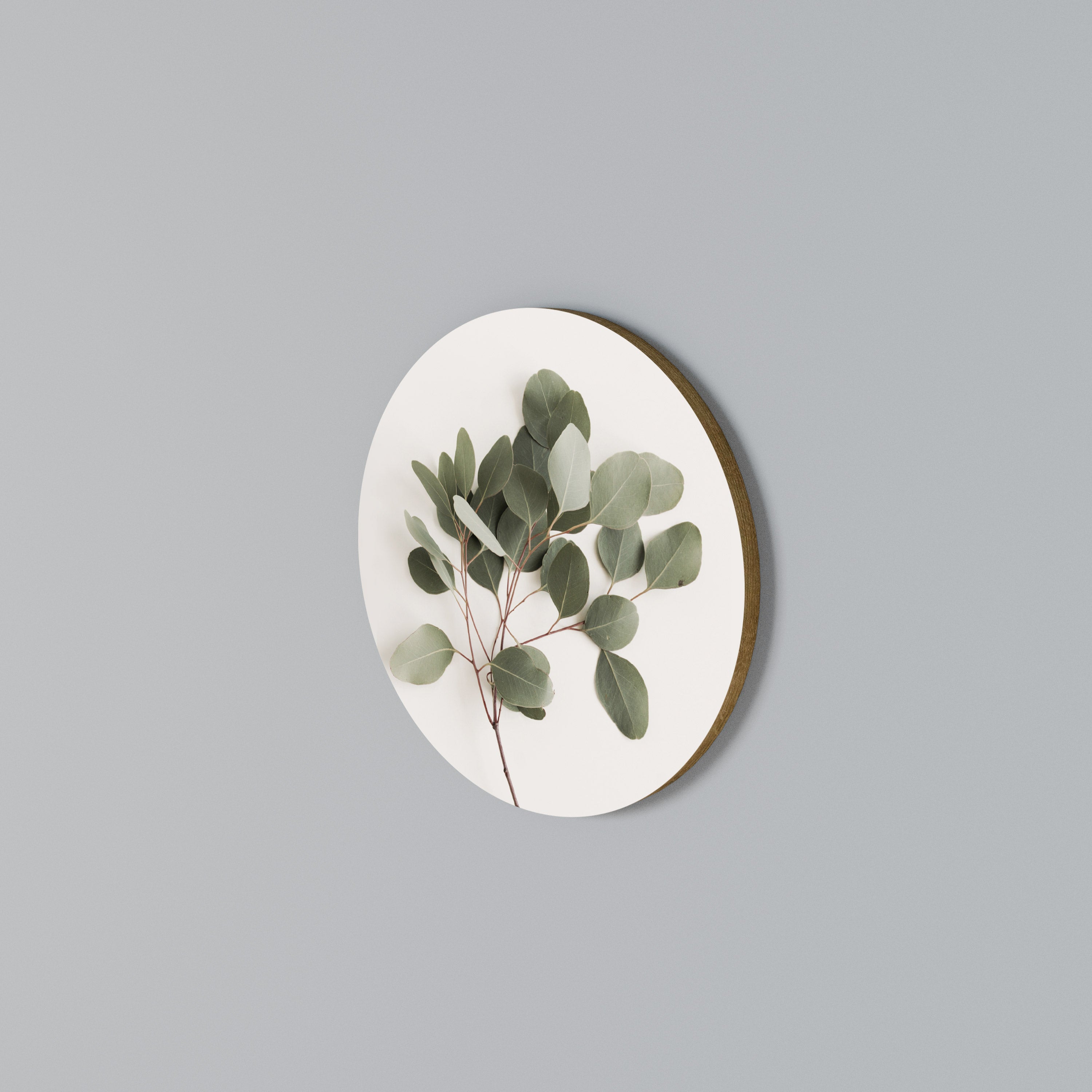 EUCALYPTUS BRANCH Round Wall Art