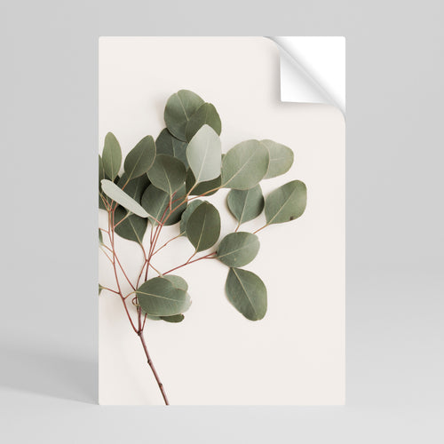 EUCALYPTUS BRANCH Selbstklebendes Poster - Hochformat