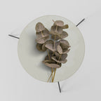 TIMELESS GREENERY Couchtisch Ø 60 cm