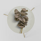 TIMELESS GREENERY Couchtisch Ø 60 cm