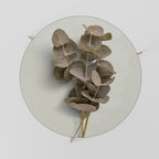 TIMELESS GREENERY Couchtisch Ø 69 cm