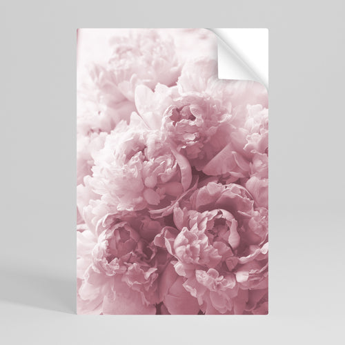 BLUSHED SERENITY Peel and Stick Vertical Poster