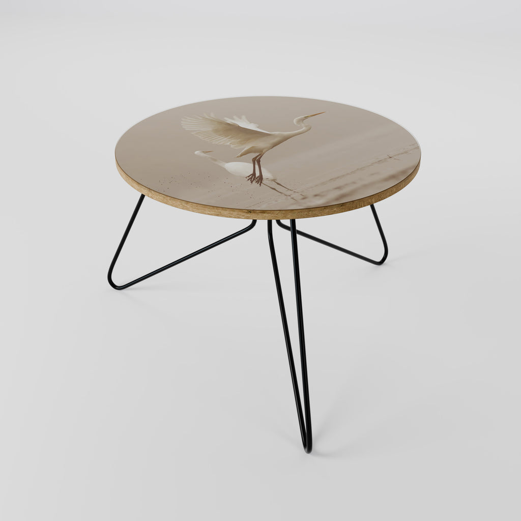 ELEGANT ASCENT Coffee Table