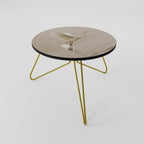 ELEGANT ASCENT Coffee Table