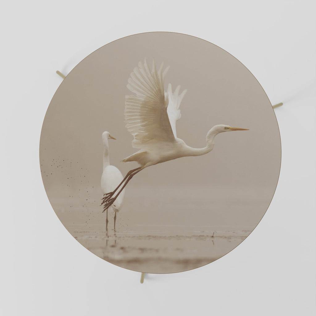 ELEGANT ASCENT Couchtisch 69