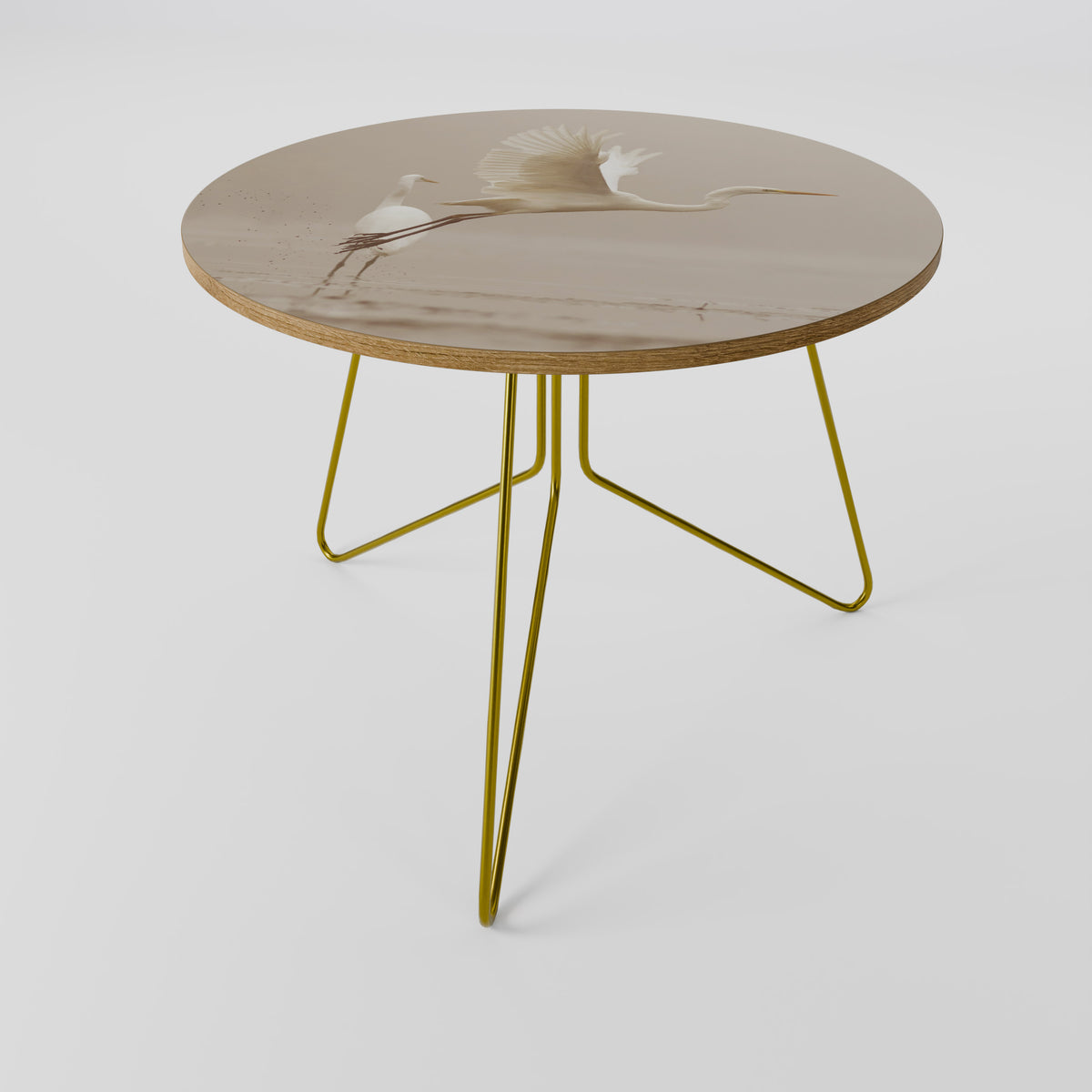 ELEGANT ASCENT Coffee Table