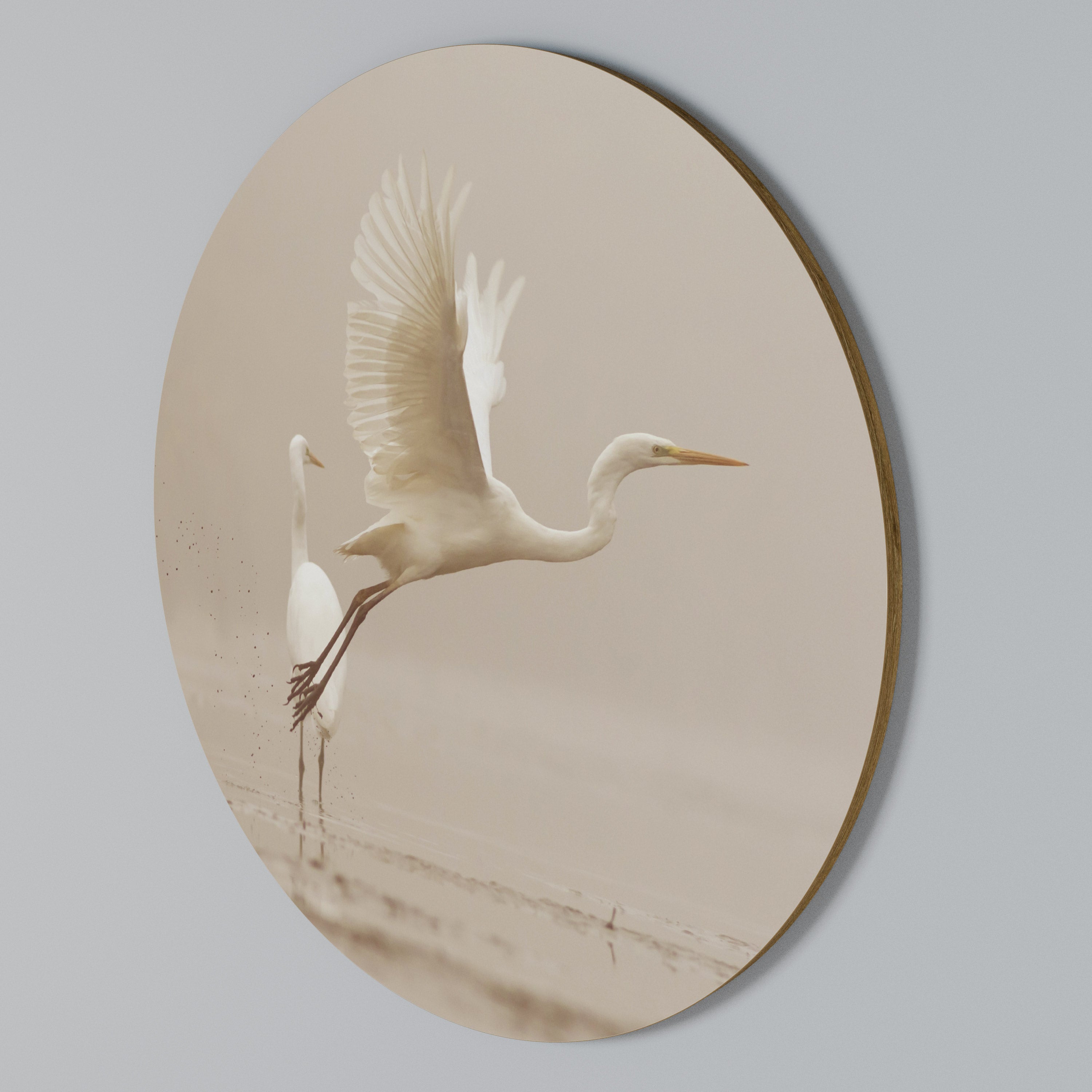 ELEGANT ASCENT Round Wall Art