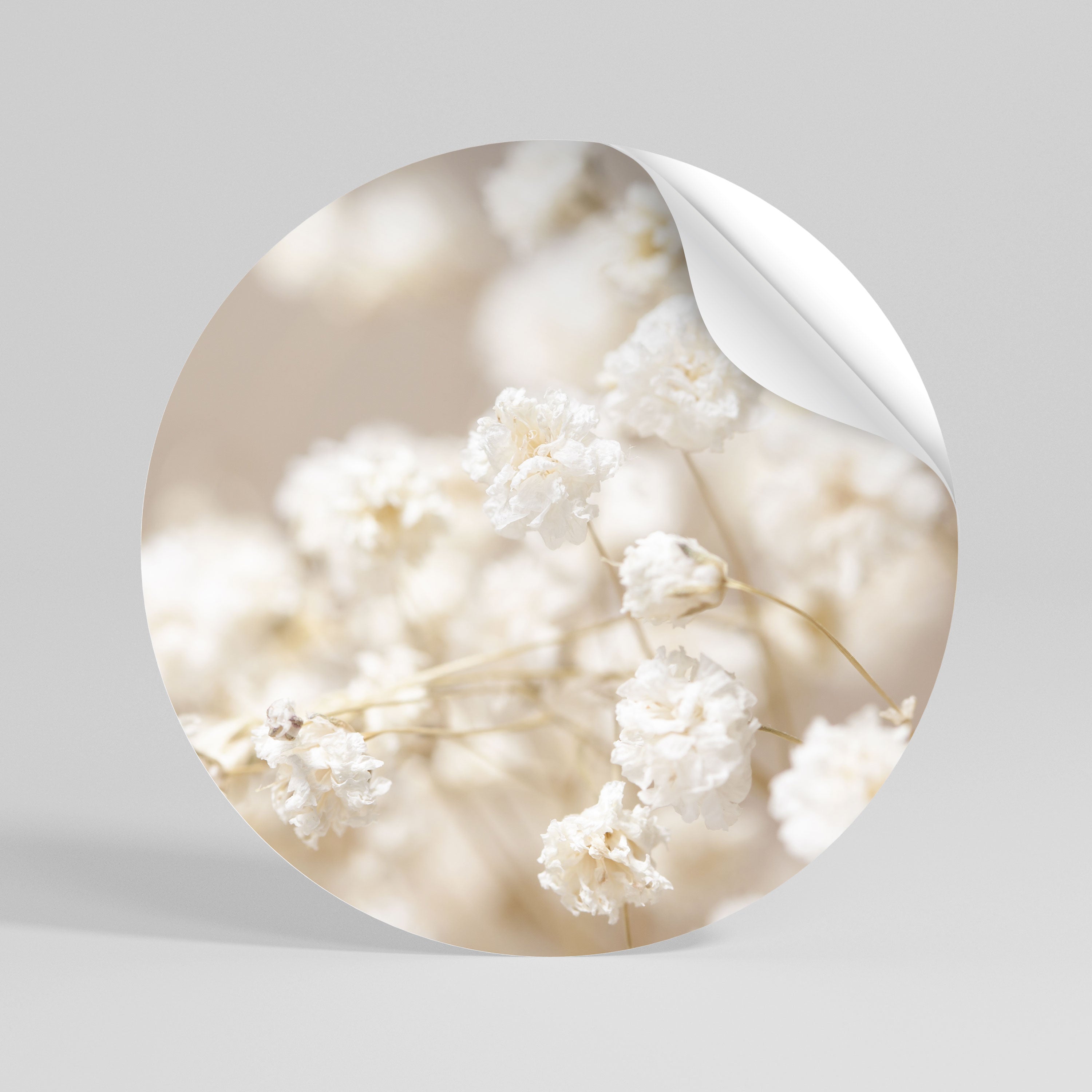 GHOSTLY BLOOM Peel and Stick Round Sticker