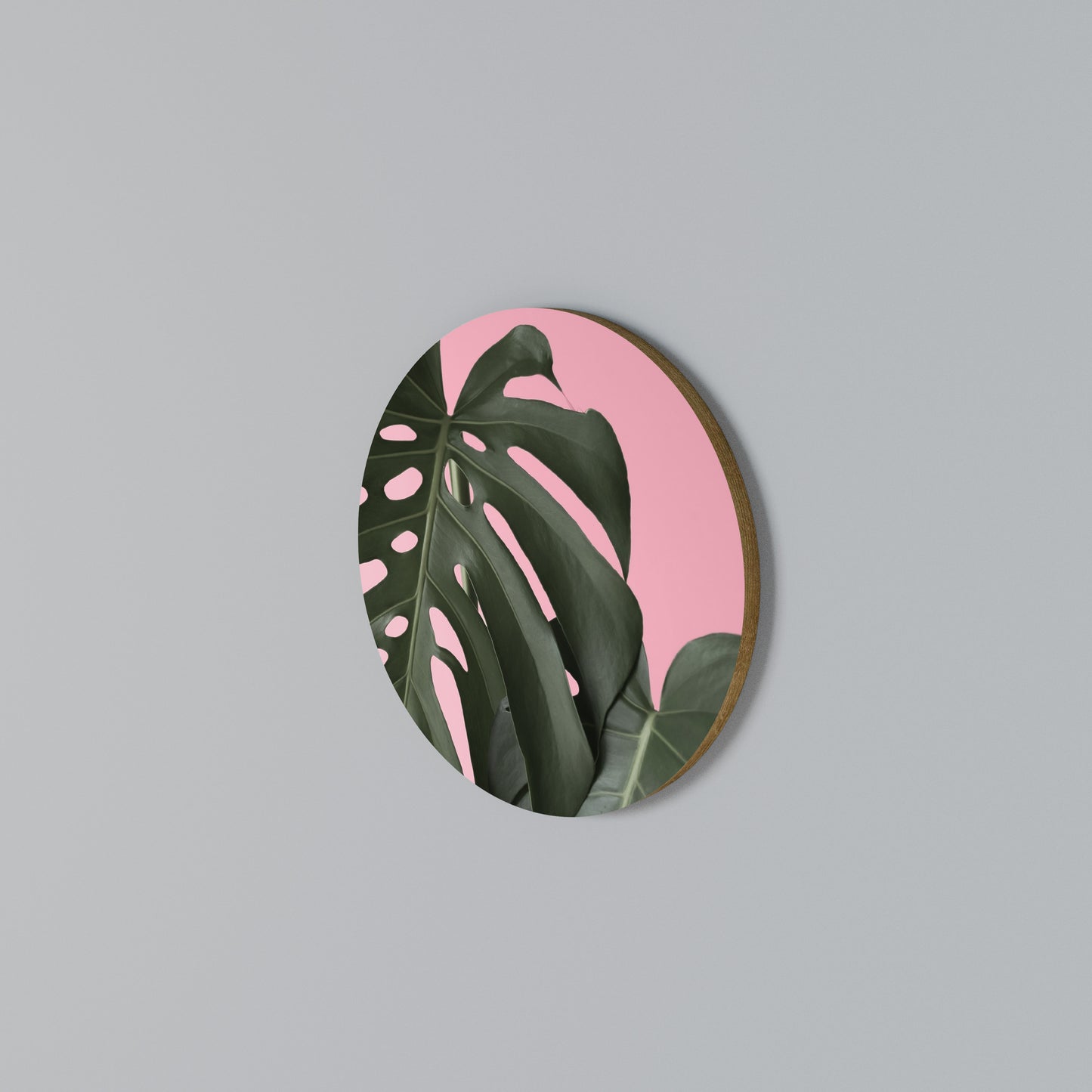 LADY MONSTERA Rundes Wandbild