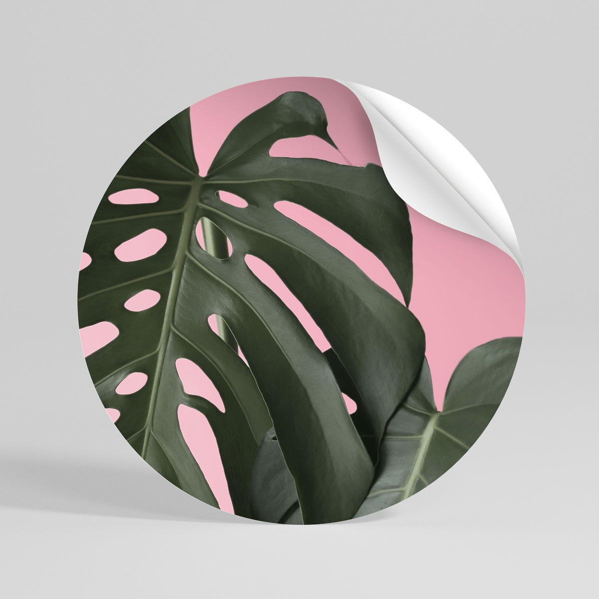 LADY MONSTERA Peel and Stick Round Sticker