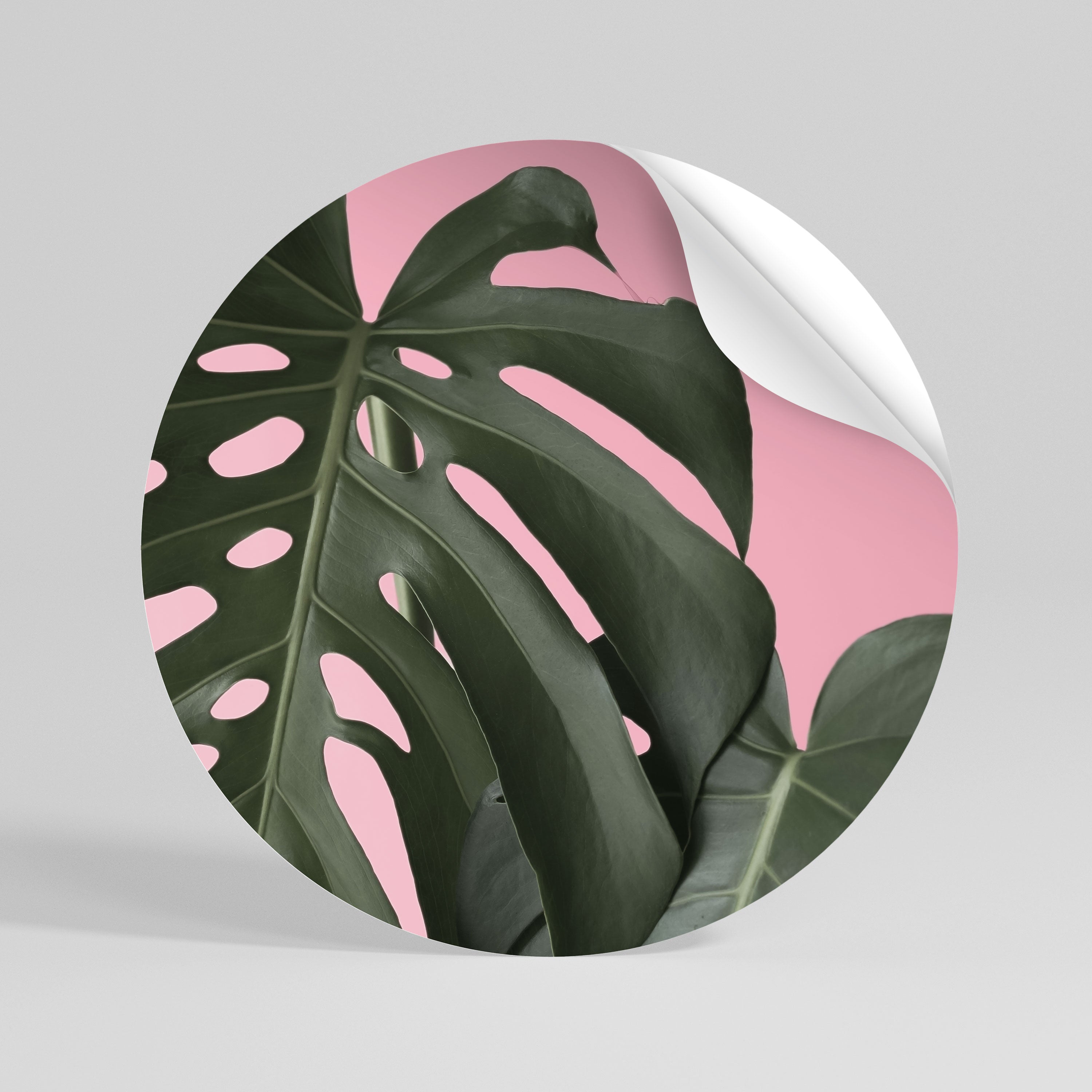LADY MONSTERA Peel and Stick Round Sticker