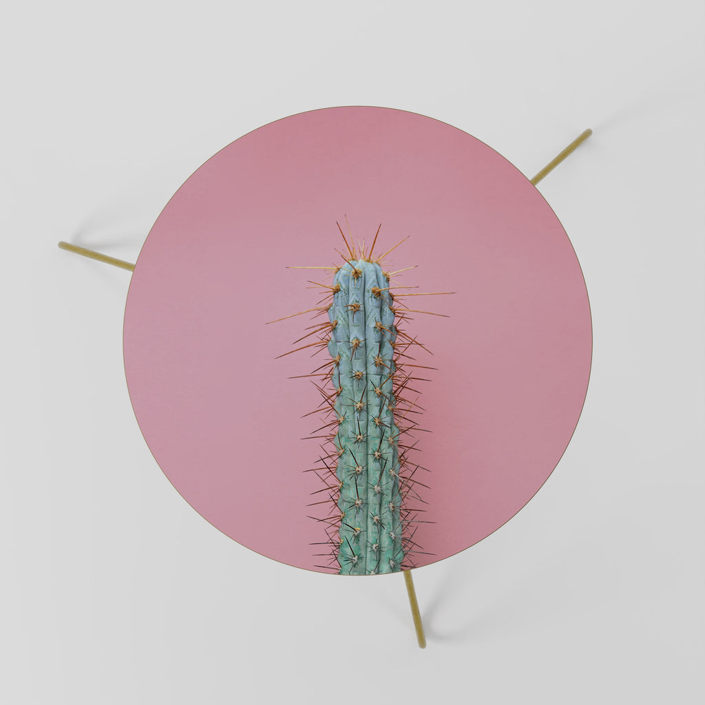 MISTER CACTUS Couchtisch 60