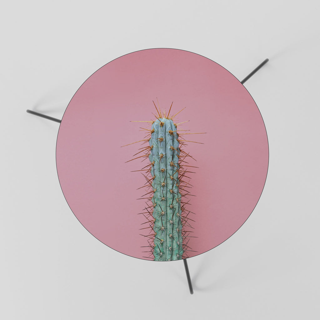 MISTER CACTUS Couchtisch 60