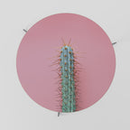 MISTER CACTUS Couchtisch Ø 69 cm