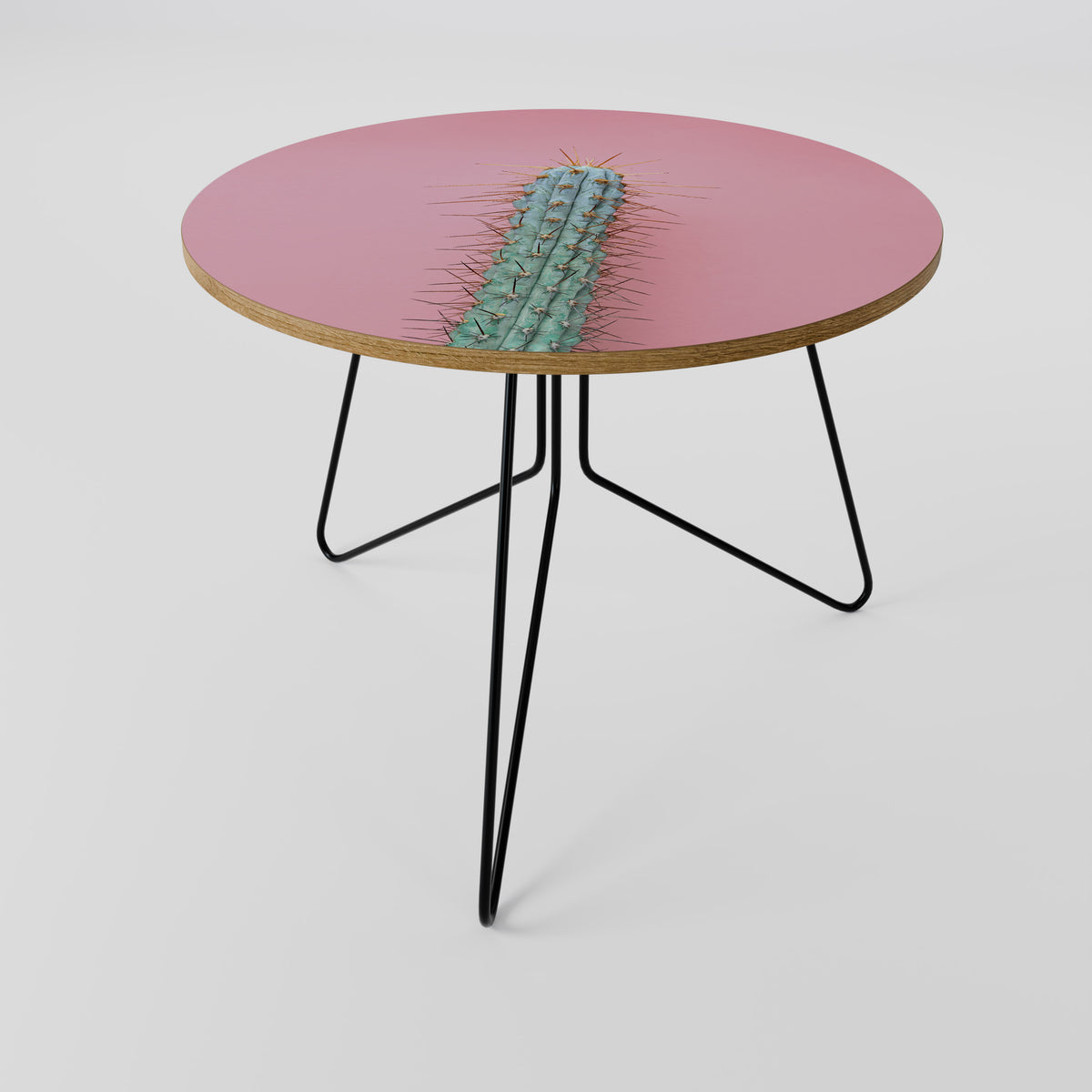 MISTER CACTUS Couchtisch