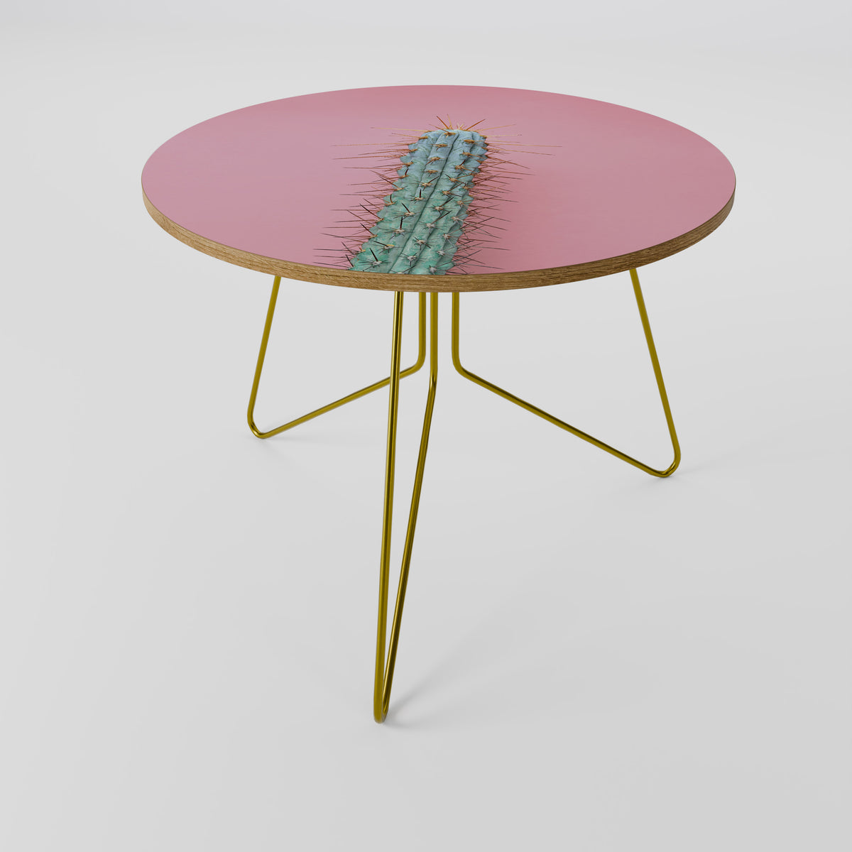 MISTER CACTUS Couchtisch