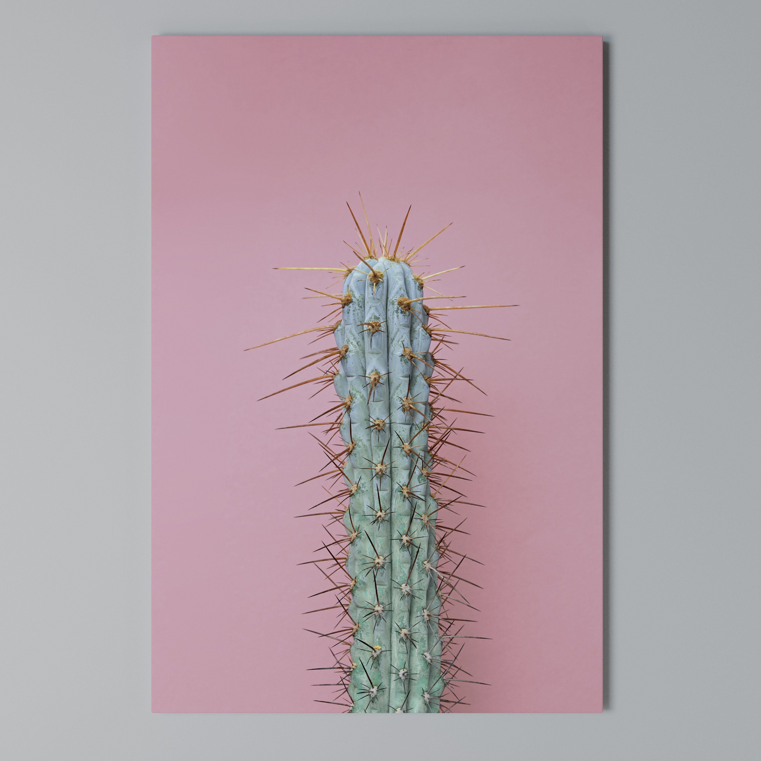 MISTER CACTUS Vertical Canvas Print
