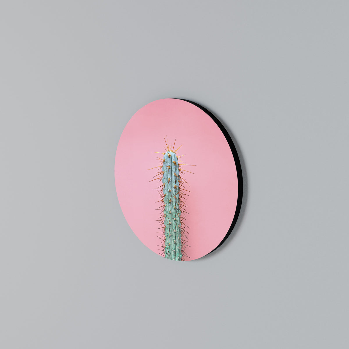 MISTER CACTUS Rundes Wandbild