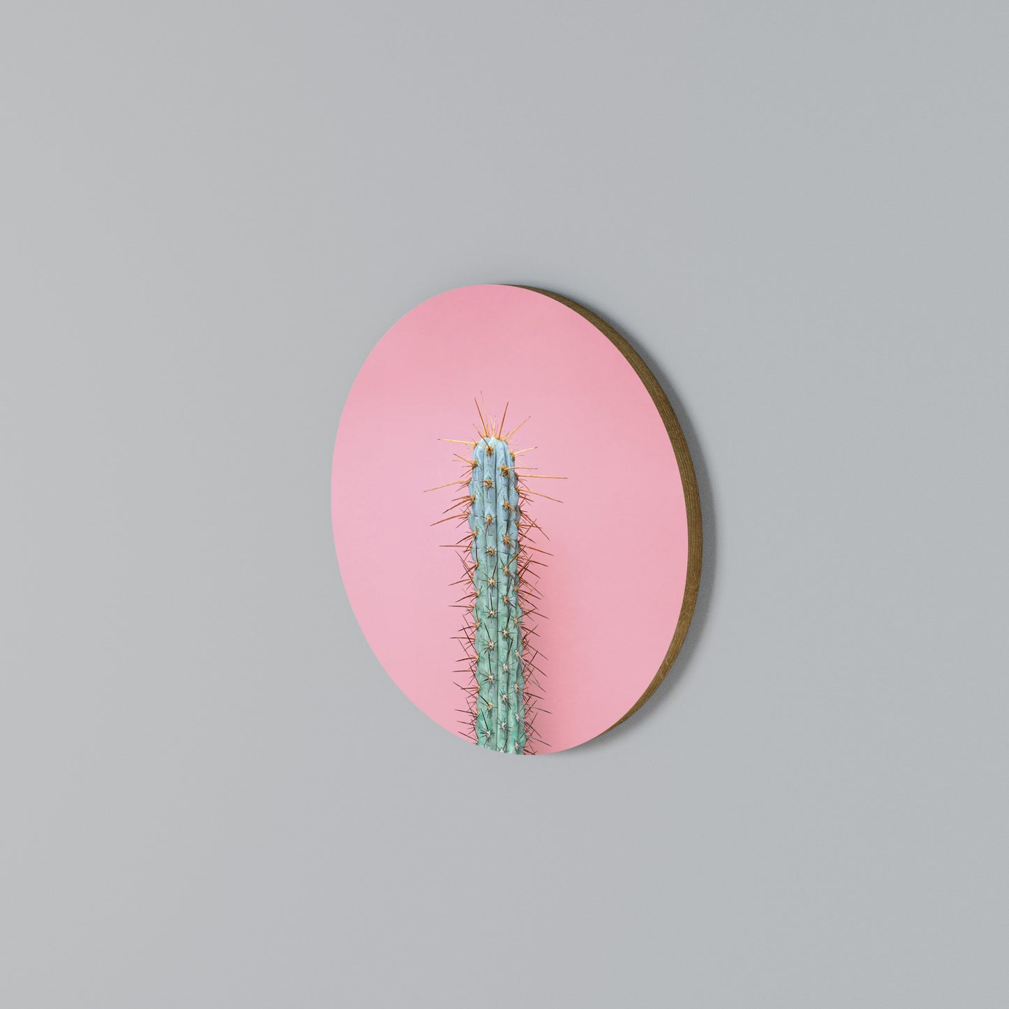 MISTER CACTUS Rundes Wandbild