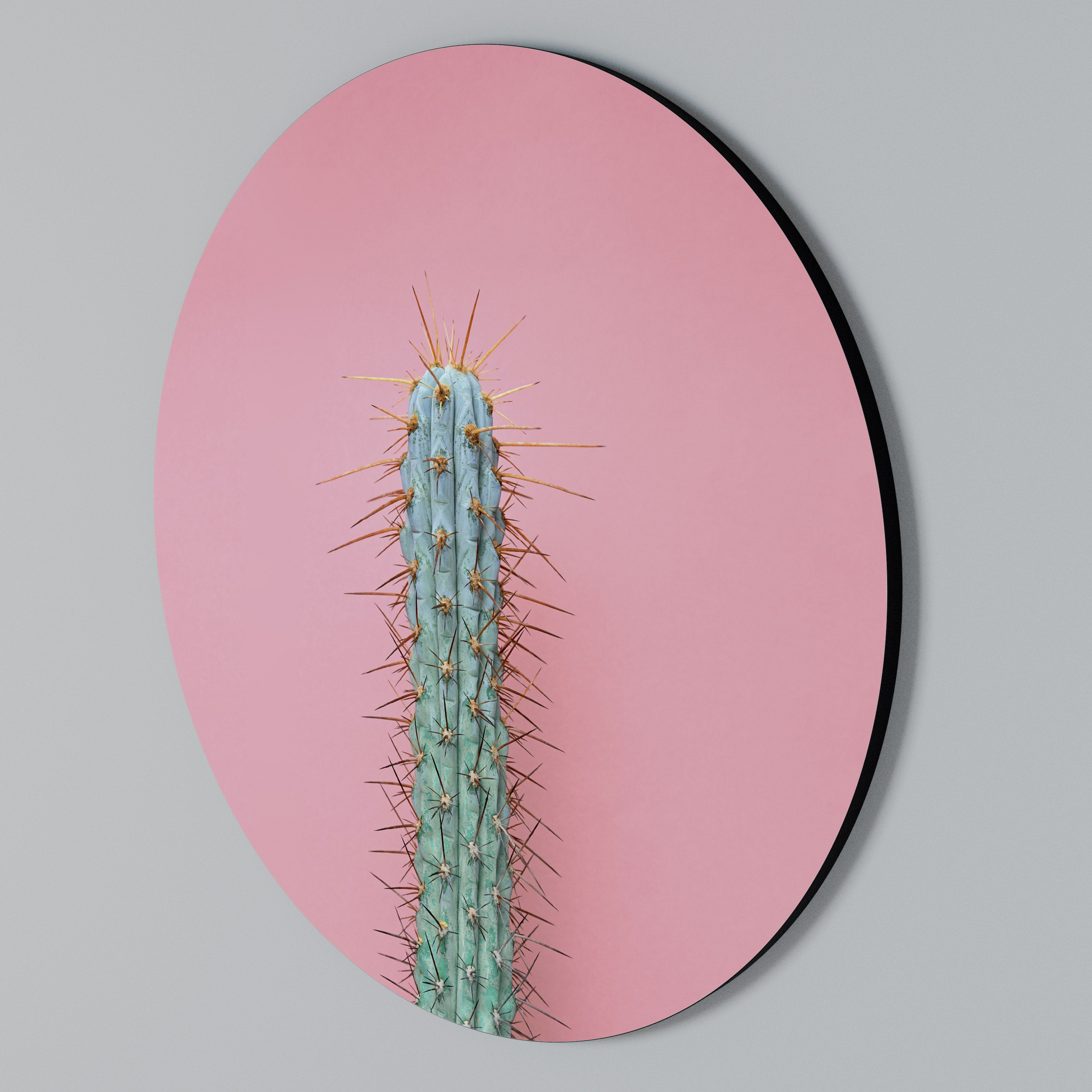 MISTER CACTUS Rundes Wandbild