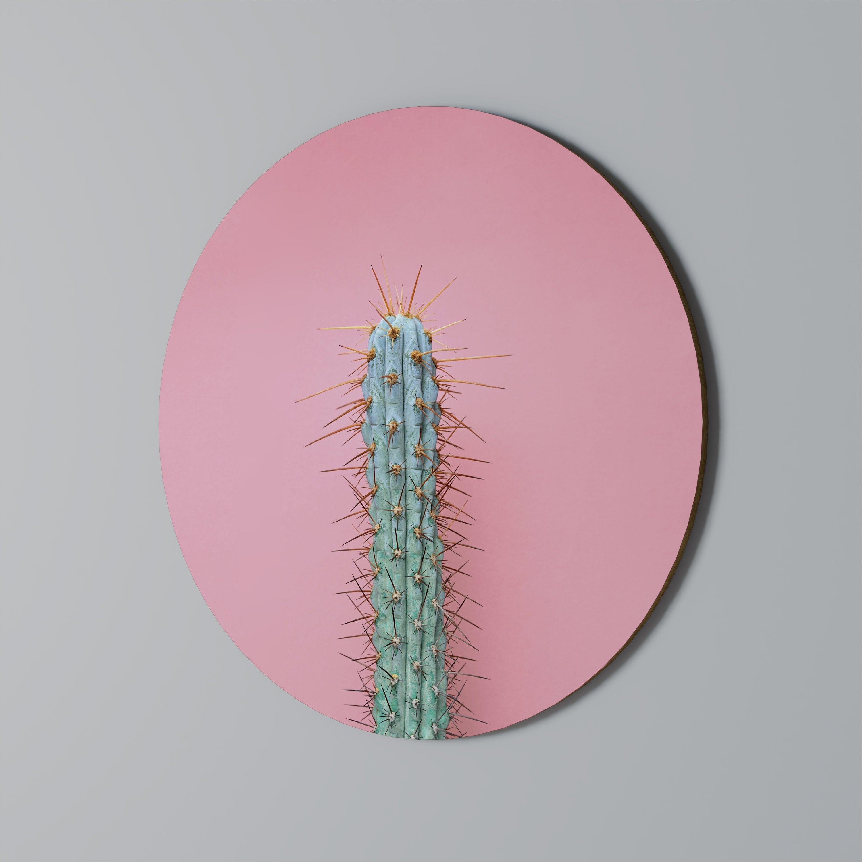MISTER CACTUS Runde Wanddekoration Ø 69 cm